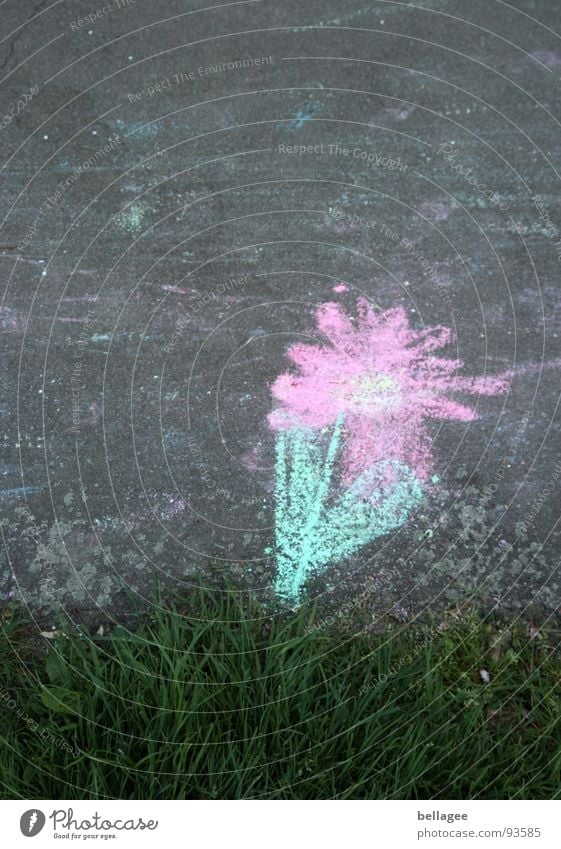 blümchen am wegesrand Blume gemalt Teer Gras Am Rand rosa grün Spielen Kreide Straße Wege & Pfade Kindheit Unschärfe