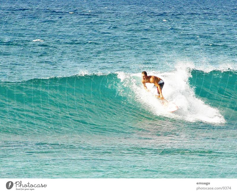 Wellenreiter Surfer Meer Hawaii Surfen Extremsport