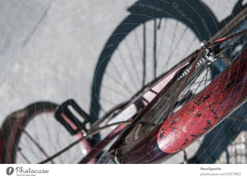 Alter Esel Straße Fahrzeug Fahrrad alt rot verkratzt Lack Schutzblech Schattenspiel Hinterreifen Asphalt Sonnenlicht ehrwürdig Patina Rost Verlässlichkeit