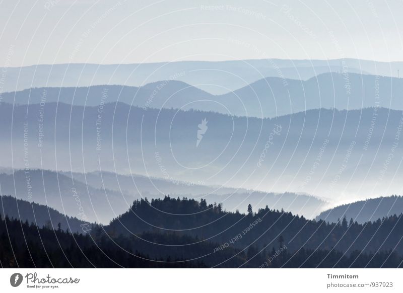Weitere Aussichten. Umwelt Natur Landschaft Pflanze Himmel Sonnenlicht Herbst Wetter Nebel Wald Hügel Schwarzwald Linie Blick ästhetisch natürlich blau grau