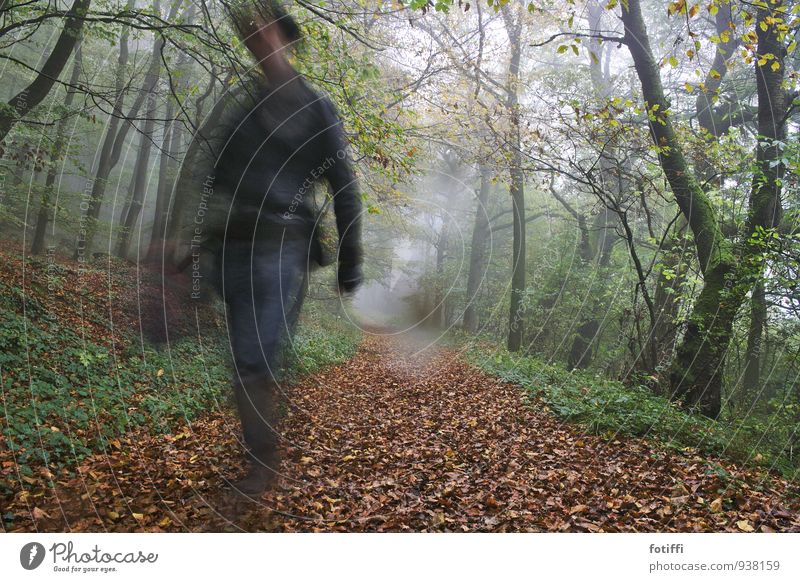 the gunslinger maskulin Mann Erwachsene 1 Mensch 18-30 Jahre Jugendliche Natur Landschaft Pflanze Herbst Klima schlechtes Wetter Efeu gehen laufen rennen
