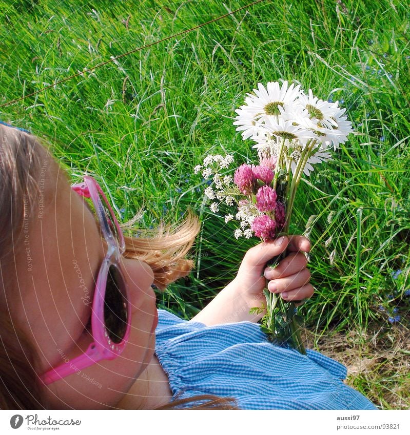 Blumenkind Kind Mädchen klein Sonnenbrille Wiese Gras Brille festhalten Spaziergang Sommer Freizeit & Hobby fangen kinderfreizeit Sonntagsspaziergang Natur