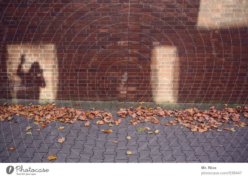 AST7 Pott | leider total verbaut Gebäude Mauer Wand Fassade Wege & Pfade außergewöhnlich Schatten Schattenspiel Blatt Herbst winken Pflastersteine Bürgersteig