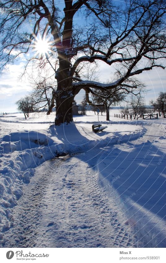 Wintertag in Jungingen Ferien & Urlaub & Reisen Schnee Winterurlaub wandern Natur Sonne Sonnenlicht Wetter Schönes Wetter Eis Frost Baum Park hell kalt Stimmung