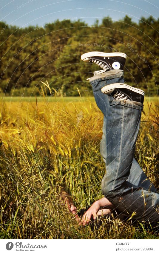 Sternschnuppe Chucks Schuhe tauchen Gras Feld Gefühle Unbeschwertheit Erholung Sommer Freude Mensch fallen Stern (Symbol) hoch Korn frei lustig
