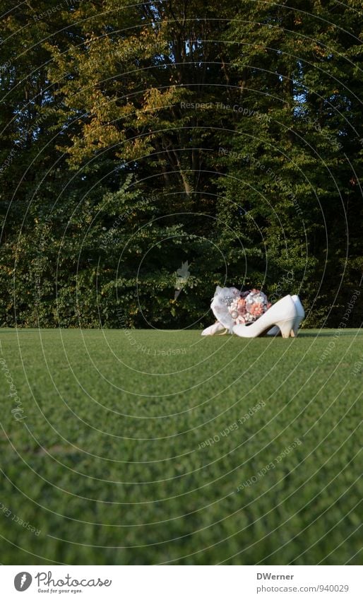 Strauß & Schuhe Lifestyle elegant Stil Hochzeit Skulptur Natur Pflanze Schönes Wetter Gras Park Wiese Mode Accessoire Schmuck Damenschuhe