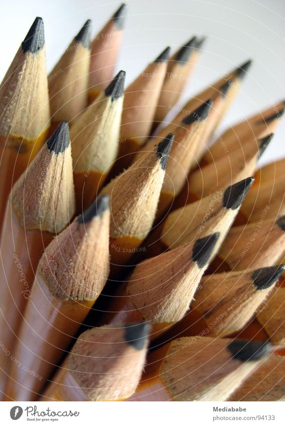 spitze(n) Mitarbeiter Schreibstift Bleistift Graphit Kunst Holz gelb Anhäufung Arbeit & Erwerbstätigkeit Agentur Kunsthandwerk Schreibtisch streichen zeichnen