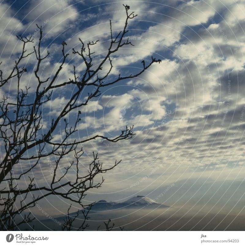 Vesuv, Neapel Italien Wolken Baum Vulkan Natur Schnee Ast blau Landschaft