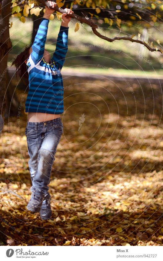 Abhängen Freizeit & Hobby Spielen Kinderspiel Ausflug Garten Klettern Bergsteigen Mensch maskulin Kindheit 1 3-8 Jahre Natur Herbst Schönes Wetter Baum Park