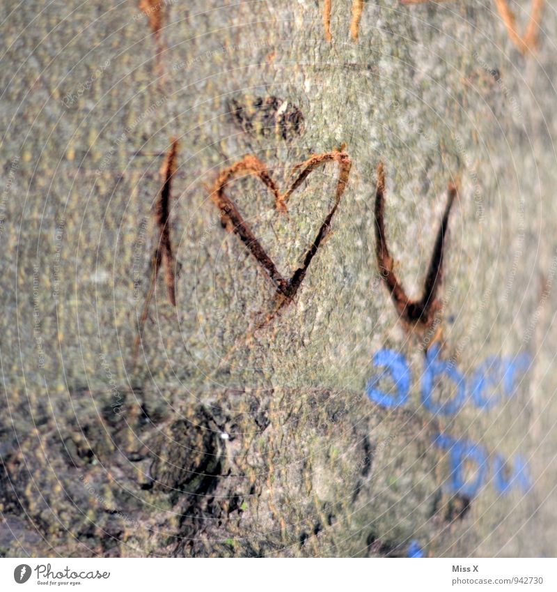 I love U Baum Holz Zeichen Herz Liebe Verliebtheit Romantik Furche Baumstamm Liebesbekundung Liebeserklärung Erinnerung Baumrinde Farbfoto Außenaufnahme