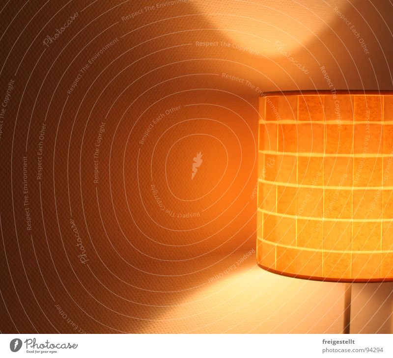So'ne Blenderin. . . Lampe Licht Wohnzimmer schön gemütlich Physik Stehlampe Ambiente harmonisch Lampenschirm Lichtkegel Dekoration & Verzierung hell Wärme