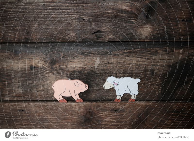 schwein und schaf Schwein Ferkel Glück Symbole & Metaphern Glücksbringer Holz Hintergrundbild Tier Holzarbeiten dick üppig (Wuchs) Holzbrett Schaf Wolle mäh