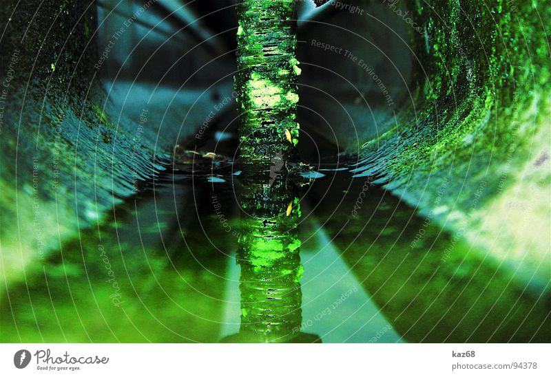 es grünt so grün Regenrinne Wasserstand Schraube verfallen Wasserrinne Spiegel Reflexion & Spiegelung Haus Herbst kaputt Reparatur rund Pfütze bewachsen