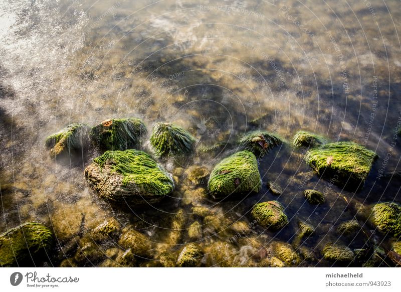 Steine im See Natur Wasser Wellen Küste Seeufer Selenter See Schleswig-Holstein atmen genießen träumen frisch Gefühle Stimmung geduldig ruhig Liebeskummer