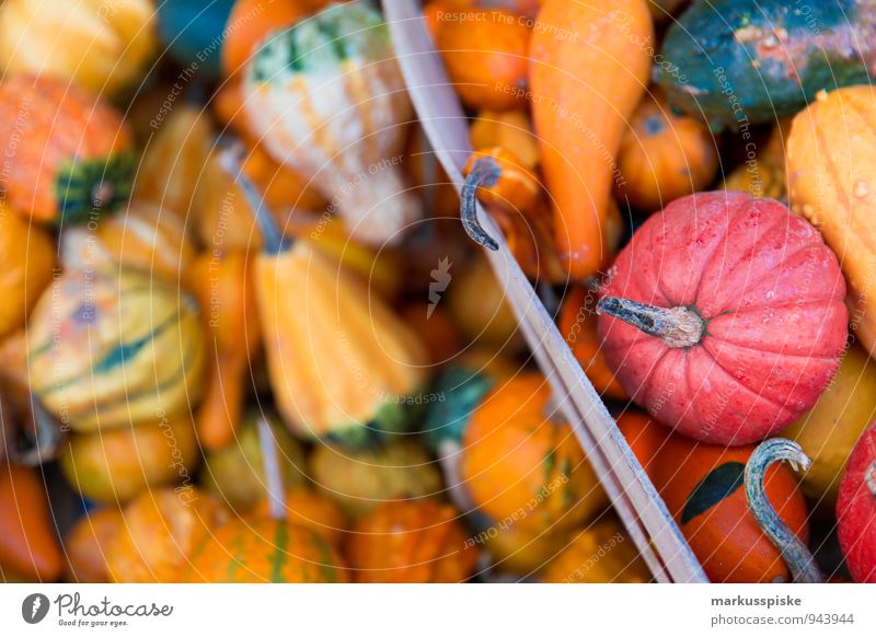 halloween kürbis Lebensmittel Gemüse Kürbis Kürbisgewächse Kürbiszeit Bioprodukte Vegetarische Ernährung Diät Slowfood Fingerfood Lifestyle elegant Stil