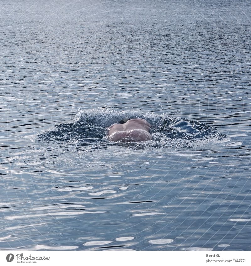 paddledabble Mann nackt Mensch tauchen auftauchen Oberflächenspannung Wassermassen Rückansicht Hinterteil See Gesundheit Sport Erfrischung Kühlung Spielen