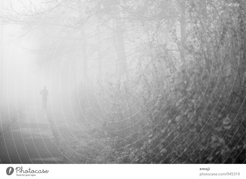 kommen und gehen Mensch 1 Umwelt Natur Landschaft Herbst schlechtes Wetter Nebel grau Einsamkeit einzeln Schwarzweißfoto Außenaufnahme Tag