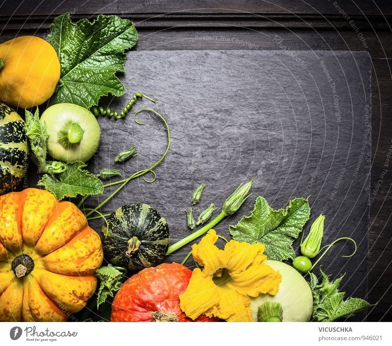 Dekoration aus bunten Kürbisse verschiedener Sorten Lebensmittel Gemüse Ernährung Festessen Bioprodukte Vegetarische Ernährung Diät Design Gesunde Ernährung