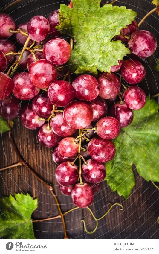 Große rosa Trauben mit Reben und Blätter Lebensmittel Frucht Ernährung Bioprodukte Diät Design Natur Garten Weintrauben Blatt frisch Ernte Tisch Holz dunkel