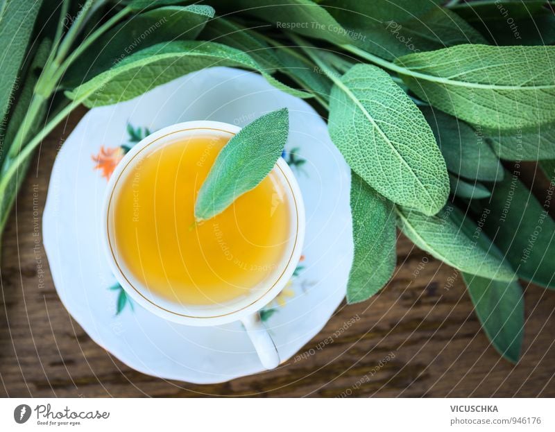 Tasse mit Salbeitee and Blätter Getränk Heißgetränk Tee Lifestyle Stil Design Gesundheit Behandlung Alternativmedizin Gesunde Ernährung Wellness Leben