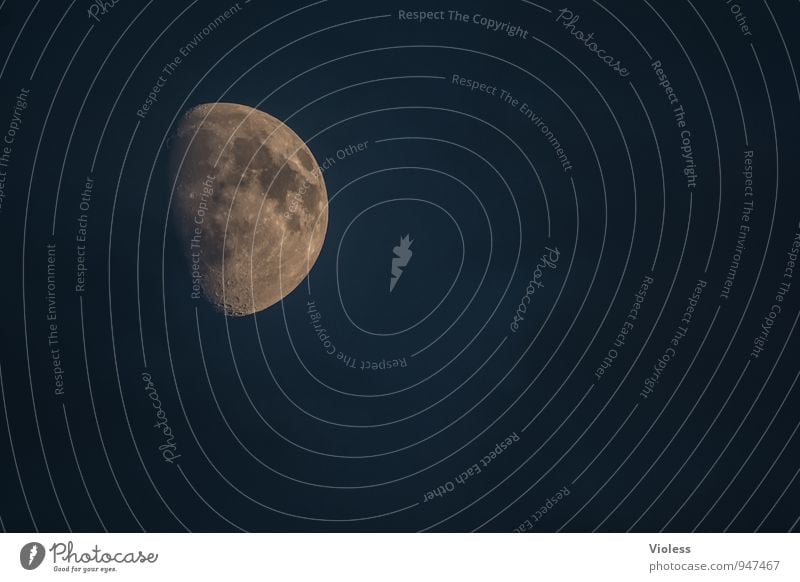 fliegen | einmal hin und zurück Umwelt Urelemente Himmel Wolkenloser Himmel Stern Mond Vollmond leuchten außergewöhnlich fantastisch Ferne Luna Planet