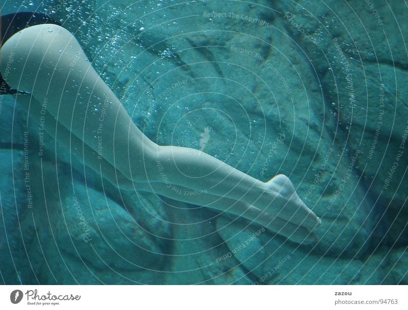Meerjungfrau tauchen Taucher Frau Badeanzug nackt Wassersport Beine Fuß Unterwasseraufnahme Schwimmen & Baden Barfuß