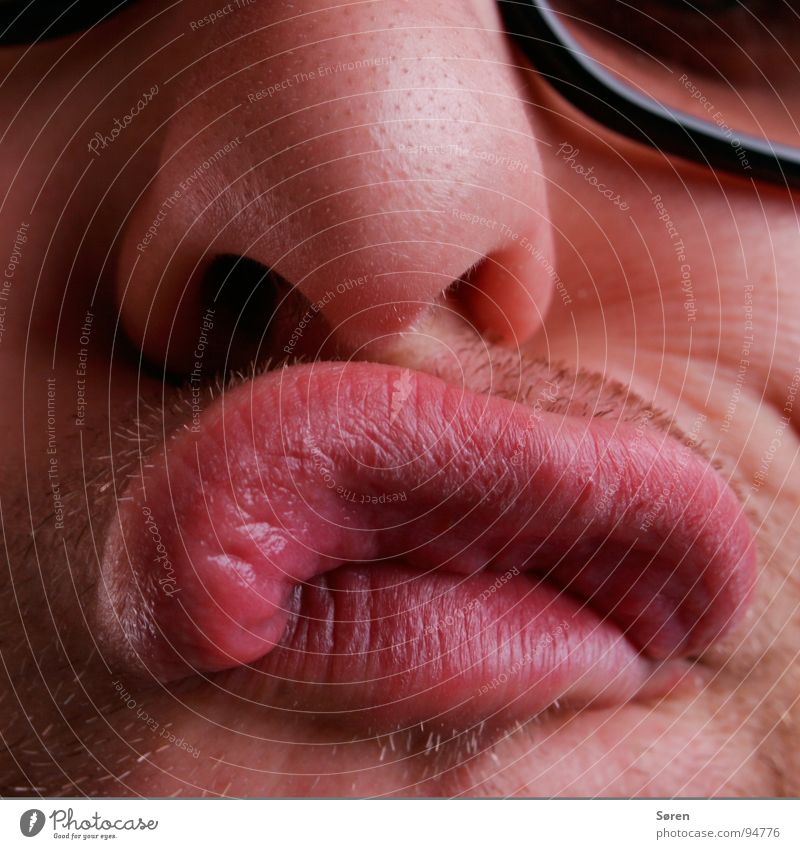 Dicke Lippe schmollen Lippen Schmatz Knollnase Bart Grimasse Gesicht mündlich Mund Nase Dreitagebart lustig frech Verzerrung
