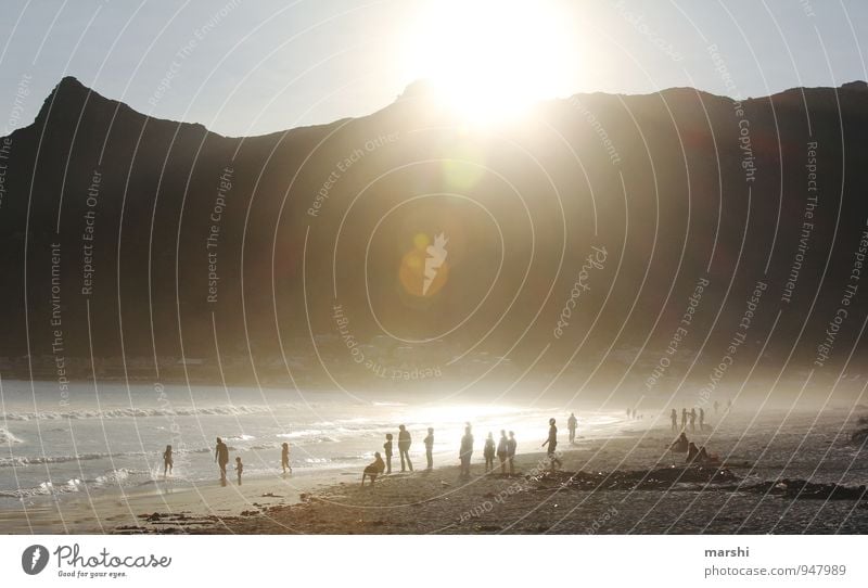 Hout Bay Lifestyle Freizeit & Hobby Sport Wassersport Mensch Menschenmenge Natur Landschaft Sonnenaufgang Sonnenuntergang Sonnenlicht Sommer Küste Strand