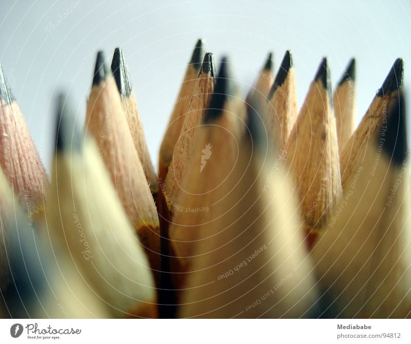 Graphit-Armee Schreibstift Bleistift Kunst Holz gelb Anhäufung Arbeit & Erwerbstätigkeit Agentur Schreibtisch streichen zeichnen Bild Kreativität Farbe Spitze