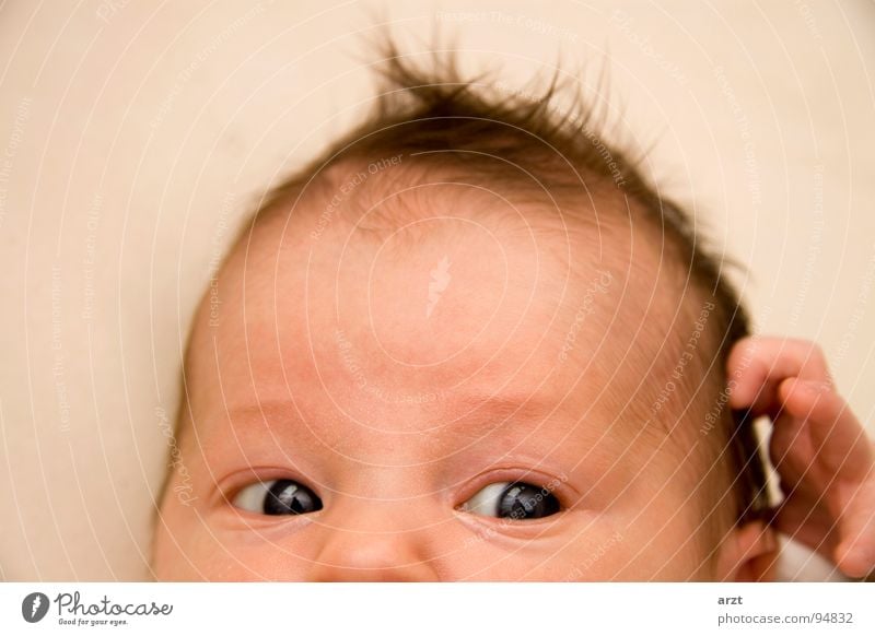 da bin ich Mädchen Baby klein Blick Denken Kind schön rein Kleinkind Auge Haare & Frisuren Kopf neu Interesse Nase Mund Haut