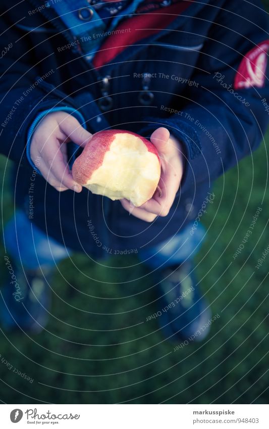 kind isst apfel Lebensmittel Frucht Apfel Ernährung Essen Picknick Bioprodukte Vegetarische Ernährung Diät Fasten Gesundheit Gesunde Ernährung harmonisch