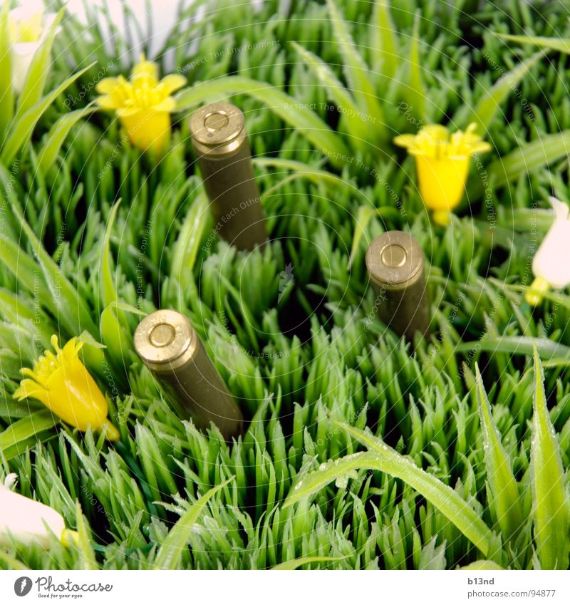 Ausflug Wiese Gras Blume Bildart & Bildgenre grün weiß gelb braun Stillleben Frühling Rasen Pflanze Kugel Munition Patrone Statue Kunststoff gestellt Kitsch