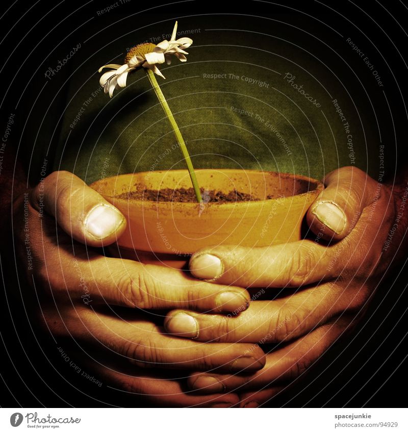 Hope Blume Blüte Blumentopf Topf Hand geschlossen Finger Wurstfinger Gartenarbeit Reifezeit Hoffnung Religion & Glaube Erde festhalten Wärme Wachstum