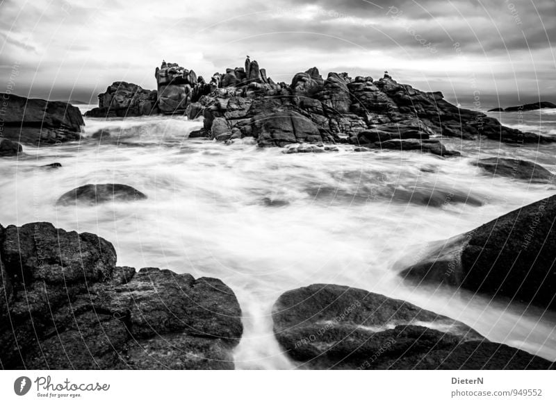 Felsenfront Umwelt Natur Landschaft grau schwarz weiß Meer Granit Wellen Sturm Frankreich Cote de Granit Rose Schwarzweißfoto Außenaufnahme Menschenleer