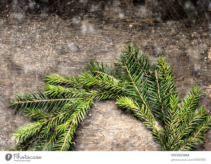 Weihnachtskarte mit Kranz aus Tannenzweigen. Lifestyle Design Freizeit & Hobby Winter Wohnung Weihnachten & Advent Natur Baum Holz Tradition Hintergrundbild