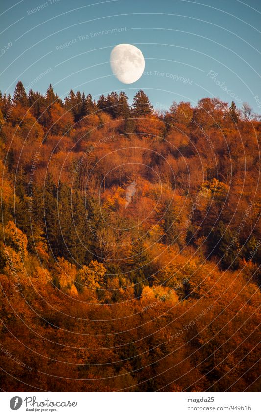Mondei Natur Landschaft Himmel Herbst Baum Wald Hügel ästhetisch blau orange weiß Stimmung Vergänglichkeit Wandel & Veränderung Ferne Weltall Zeit Farbfoto
