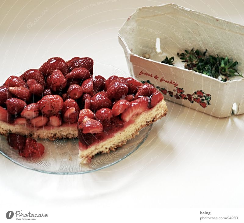 Reiseproviant mit Sitzvollschmiergarantie Obstkuchen Teller Erdbeeren Teile u. Stücke Kuchen Torte Tortenstück Polkatänzer Reinigen Konditorei Geburtstag
