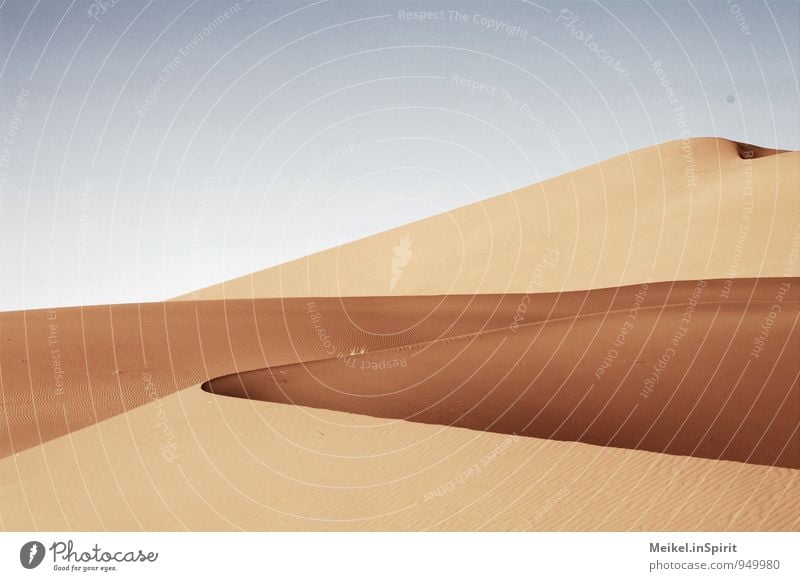 Wüste Umwelt Sand Klima Schönes Wetter Wärme Dürre Sahara heiß blau braun gelb gold Warmherzigkeit Erosion Düne geschwungen wellig Kurve trocken Farbfoto