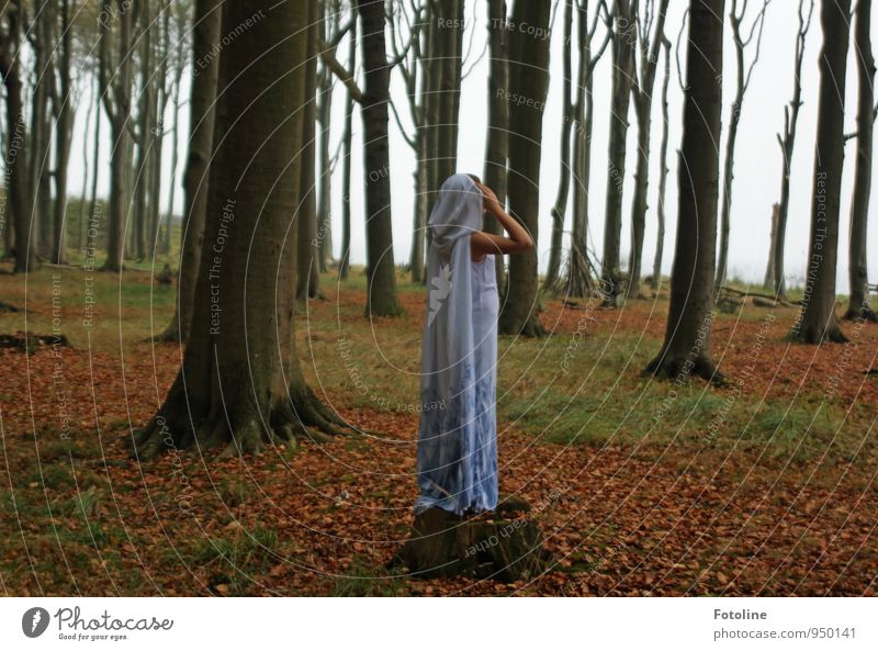 Ferne Mensch feminin Junge Frau Jugendliche 1 Umwelt Natur Landschaft Pflanze Herbst Baum Wald natürlich Tracht Umhang Kapuze Kleid kleidsam geheimnisvoll