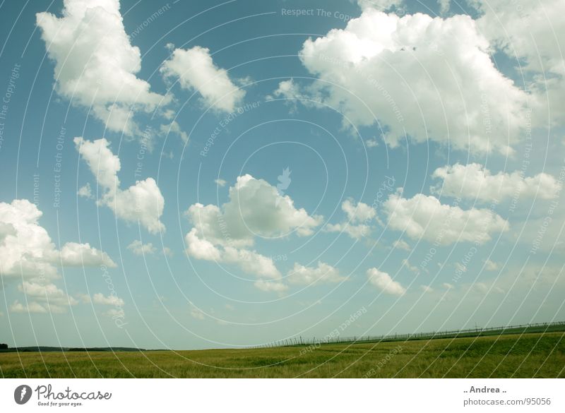 Weite Welt Landschaft Himmel Wolken Gras Watte weich blau grün weiß hell-blau himmelblau Windows XP windows vista xp wallpaper Farbfoto