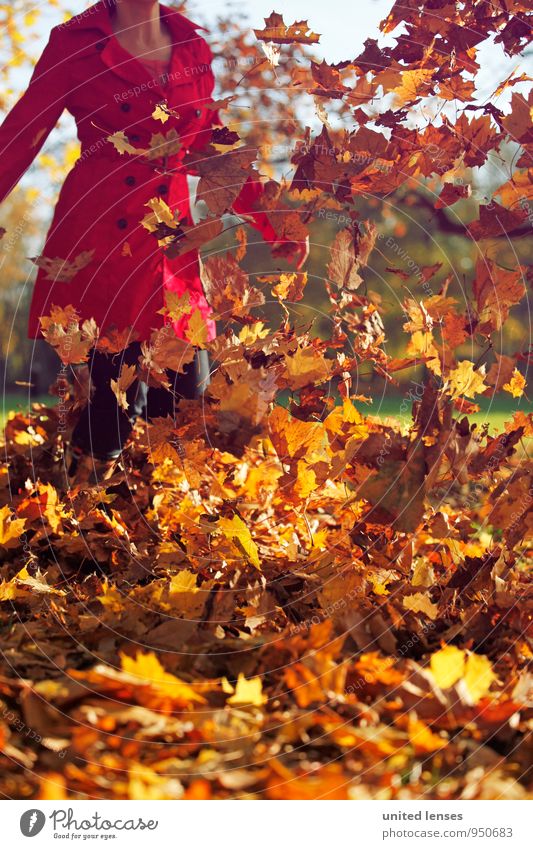 AK# Herbstknall Kunst ästhetisch Zufriedenheit herbstlich Herbstlaub Herbstfärbung Herbstbeginn Herbstwetter Herbstwald Herbstlandschaft Herbstwind Herbststurm