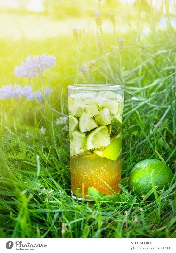 Eistee mit Limette im Garten Blumen Lebensmittel Frucht Getränk Erfrischungsgetränk Limonade Tee Alkohol Sekt Prosecco Longdrink Cocktail Glas Lifestyle Stil