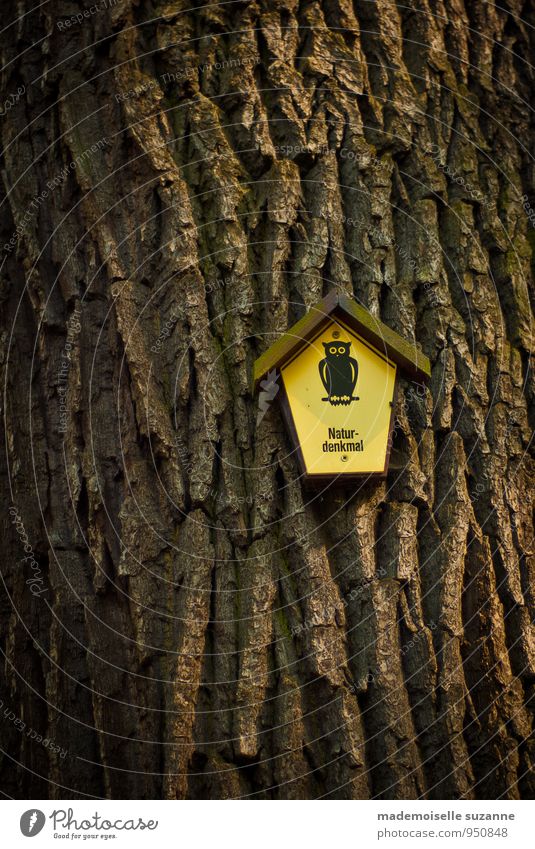 Uhu wandern Landwirtschaft Forstwirtschaft Erneuerbare Energie Umwelt Natur Baum Wald Eulenvögel Zeichen Hinweisschild Warnschild braun gelb Tourismus