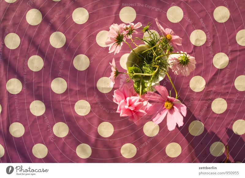 Pünktchen vs. Blümchen Tisch Tischwäsche Design Muster Punkt Blume Blumenvase Vase Vogelperspektive Blüte Dekoration & Verzierung Textfreiraum Neigung violett