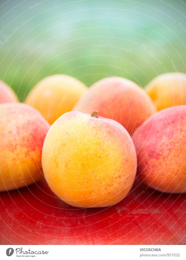 Aprikosen auf roten Tisch in Garten Lebensmittel Frucht Lifestyle Gesunde Ernährung Sommer Natur gelb grün Garden reif Ernte Außenaufnahme Farbfoto Nahaufnahme