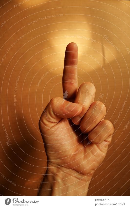 Eins 1 Finger Zeigefinger Mittelfinger Ringfinger Daumen Faust Konzentration zählen Wachsamkeit gestikulieren Mensch kleiner finger Pflaume numerieren pädagogik