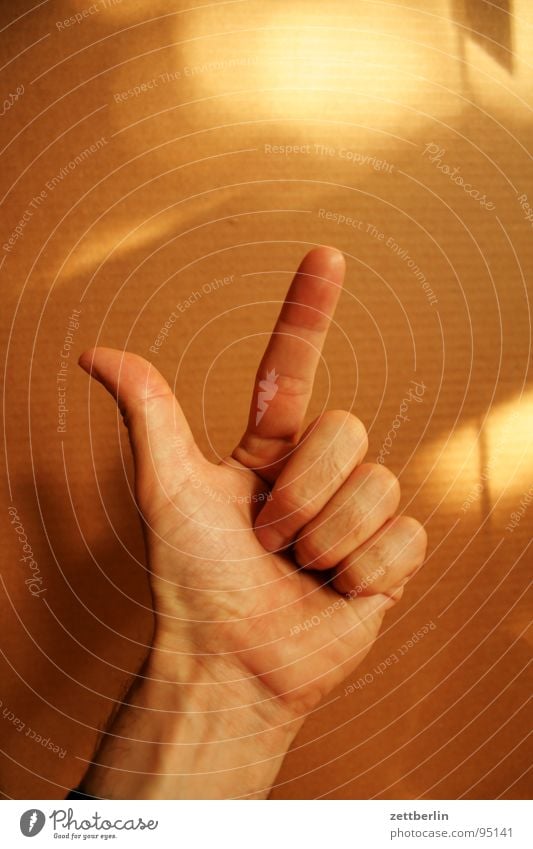 Zwei 2 Finger Zeigefinger Mittelfinger Ringfinger Daumen Faust Konzentration zählen gestikulieren Kommunizieren Mensch kleiner finger Pflaume numerieren