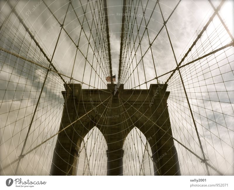 Stabilität... New York City USA Amerika Brücke Bauwerk Sehenswürdigkeit Brooklyn Bridge festhalten ästhetisch außergewöhnlich Bekanntheit dunkel gigantisch