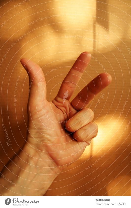 Drei 3 Finger Zeigefinger Mittelfinger Ringfinger Daumen Faust Konzentration Ziffern & Zahlen zählen gestikulieren gut Dinge Trinity College Mensch