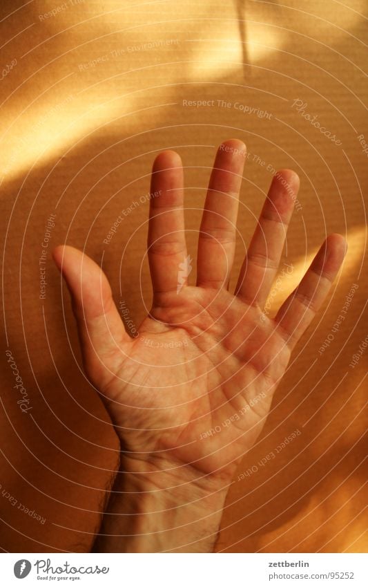 Fünf 5 Finger Zeigefinger Mittelfinger Ringfinger Daumen Faust Konzentration zählen gestikulieren Hand Halt stoppen winken Gruß Mensch Kommunizieren
